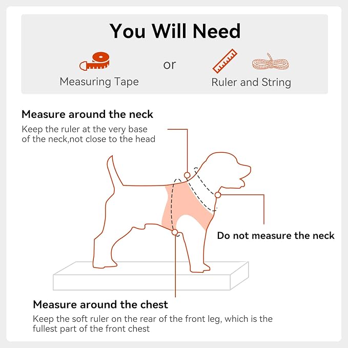 Joytale Step-in Dog Harness, Soft Breathable Mesh, Orange S | Adjustable Fit for Small Dogs, Easy Step-in with Secure Fastener, Even Chest Pressure, Reflective For Night Safety, Washable