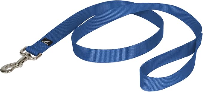 PetSafe Nylon Dog Leash - Strong, Durable, Traditional Style Leash with Easy to Use Bolt Snap - 1 in. x 4 ft., Royal Blue | Durable Nylon Leash with Easy on/off Bolt Snap Hook, Pairs Perfectly with Easy Walk Harness and Gentle Leader Headcollar