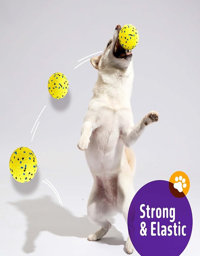 Kimee Dog Tennis Ball Chew Toys, Floating, 3Pcs, 5.3in