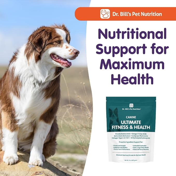 Dr. Bill’s Canine Ultimate Fitness & Health – Daily Dog Multivitamin for Energy, Longevity & Whole-Body Support - Vet Supplement to Help Fill Nutritional Gaps - Skin, Coat, Heart & Brain Health 340g