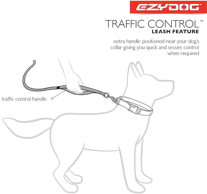 EzyDog Soft Trainer Dog Leash, 6 ft. Leash - 72”, Purple | Traffic Control Handle, Ideal for Dogs over 26 lbs., 1" Wide Soft Touch Webbing, Reflective Stitching, Accessory Attachment,