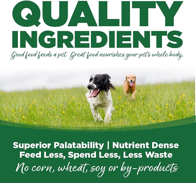 NutriSource Turkey & Rice Recipe Premium Wet Dog Food, 12.3 oz (Pack of 12)