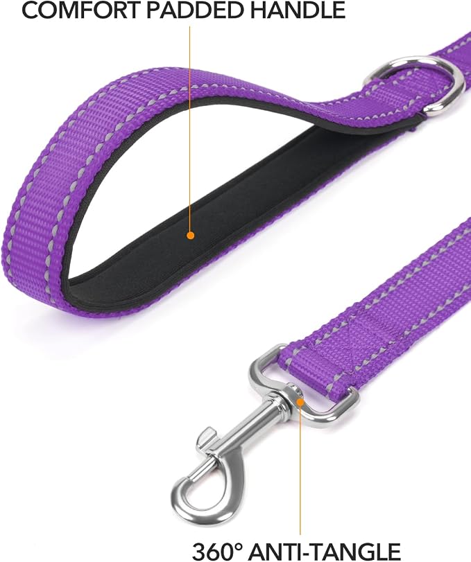 Taglory Reflective Dog Leash for Small Dogs, 3/4in x 5ft, Purple | Ideal for Night Walking, Strong for Sudden Pulls, Lightweight & Gentle on the Neck, Soft Padded Handle