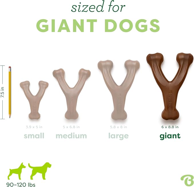 Benebone Wishbone Durable Dog Chew Toy for Aggressive Chewers, Real Peanut, Made in USA, Giant