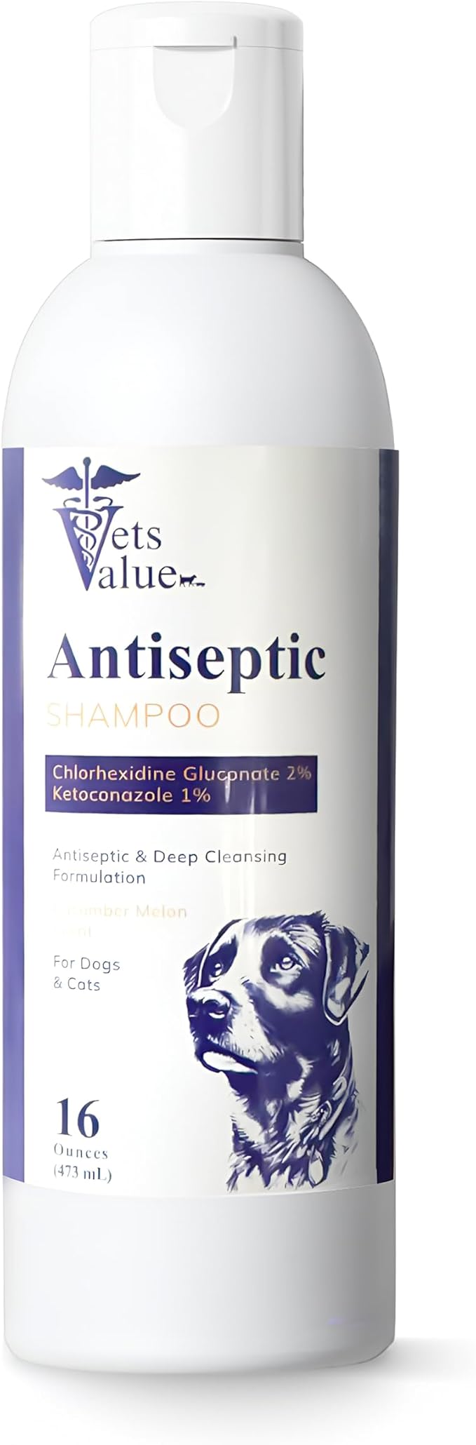 Dog & Cat Shampoo - Deep Cleansing Grooming Wash with Odor Control, Designed for Routine Care and Healthy Skin & Coat Support, Gentle Formula, 16 oz, Made in USA