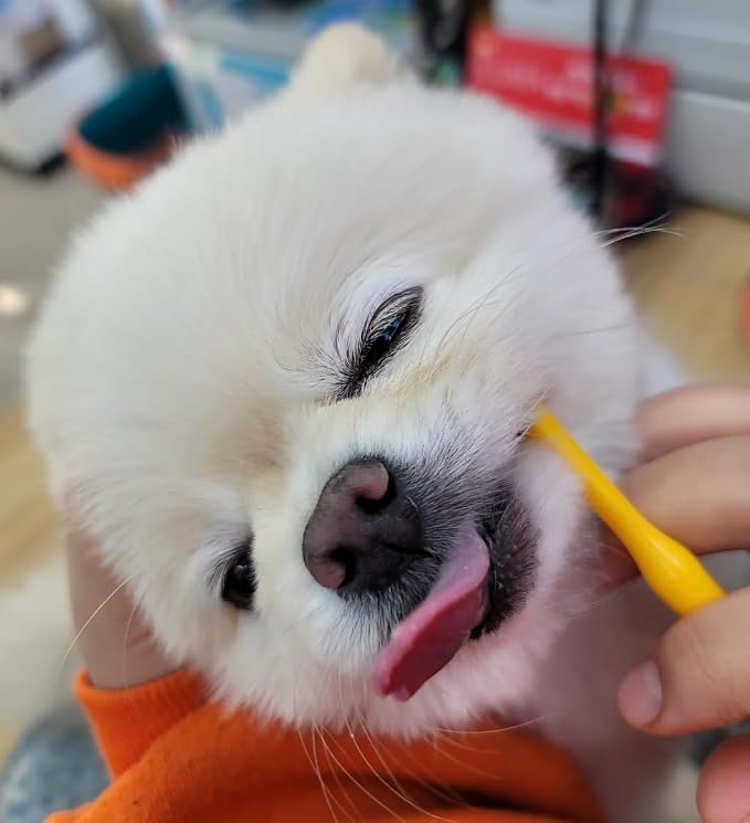 Tiny Small and Medium Dog Toothbrush Made in Korea Brush Bristles That are Soft and Do Not Irritate Your Dog’s Gums Small Toothbrush Grip and Excellent Tartar Removal (4pcs)