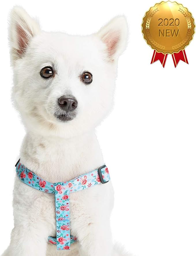 Blueberry Pet Essentials Step-in Spring Scent Inspired Garden Floral Dog Harness in Pastel Blue, Chest Girth 20" - 26", Medium, Adjustable Harnesses for Dogs