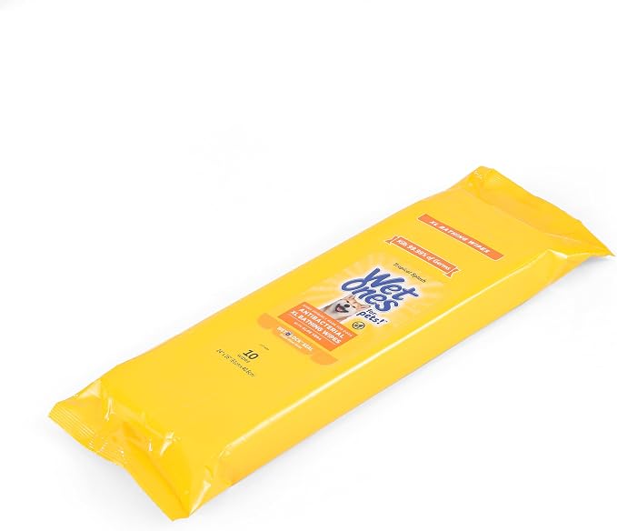 Wet Ones for Pets Multipurpose Dog Wipes with Aloe Vera, Tropical Splash Scent - Extra Large Pet Bathing Wipes with Wet Lock Seal for Paws and All-Over Use, 10 Count - 3 Pack