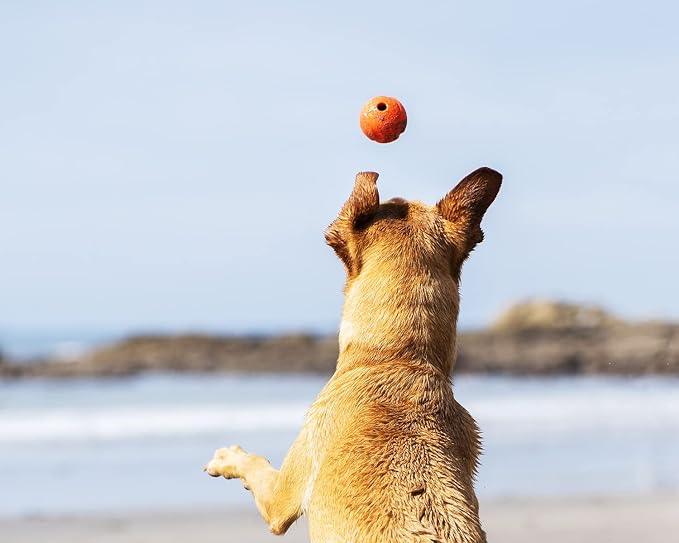 ChuckIt! High-Bounce Rubber Fetch Ball, Small (Colors Vary) 2 Pack