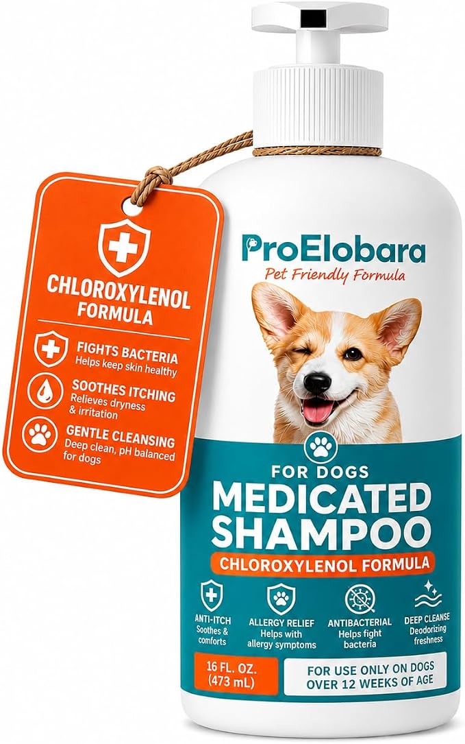 Medicated Dog Shampoo for Allergies and Itching: Antifungal Dog Shampoo, Yeast Infection and Bacterial Treatment for Dogs - Helps Hot Spots, Deodorizing and Anti Itch - Healthy Skin & Coat 16 OZ