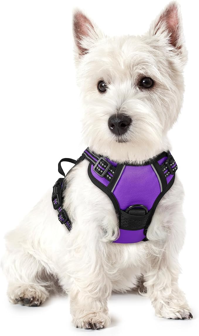 rabbitgoo Dog Harness No Pull with 2 Leash Clips, Adjustable Soft Padded, Reflective Oxford No Choke Pet Vest with Easy Control Handle for Puppy, Purple,XS | No Choke with Handle, Adjustable Soft Padded, Reflective, Easy Control for Walking, Purple, X-...
