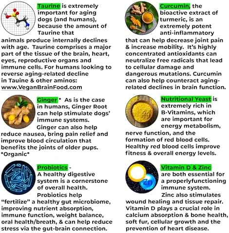 Anti-Aging & Immune Support | Organic, Human-Grade Ingredients | Medicinal Plants & Mushroom Extracts | Omega 3's, Antioxidants, Probiotics, Vitamins & Minerals | Plant-Based & Vegan