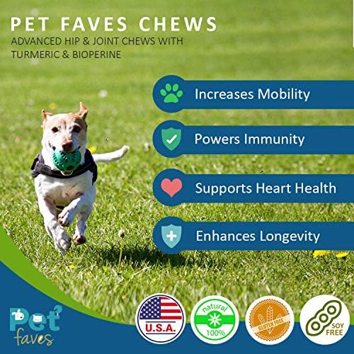 Natural Dog Hip & Joint Supplement for Dogs Arthritis Pain Relief. Turmeric Curcumin with Black Pepper for Anti Inflammatory. Tumeric MSM Glucosamine Chondroitin for Dogs Healthy Joints - 90 Chews