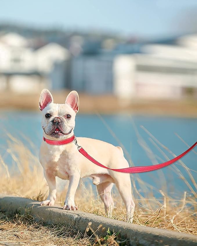 Joytale Dog Collar Bundle with 5FTx3/4 Width Double-Sided Reflective Dog Leash,5FT Nylon Dog Leashes with Nylon Dog Collar for Small Dogs,Red