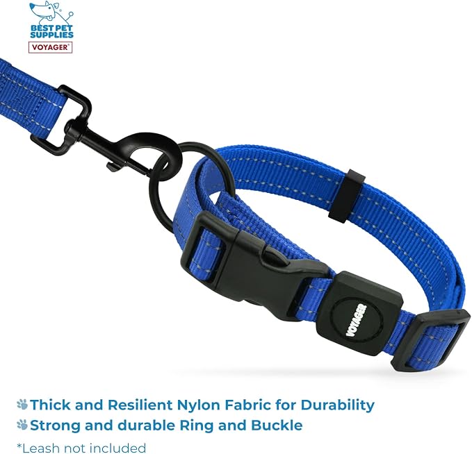 Best Pet Supplies Voyager Reflective Dog Leash or Collar with Neoprene Handle, for Small, Medium, and Large Breed Puppies, Cute and Heavy Duty for Walking, Running and Training - Royal Blue, M