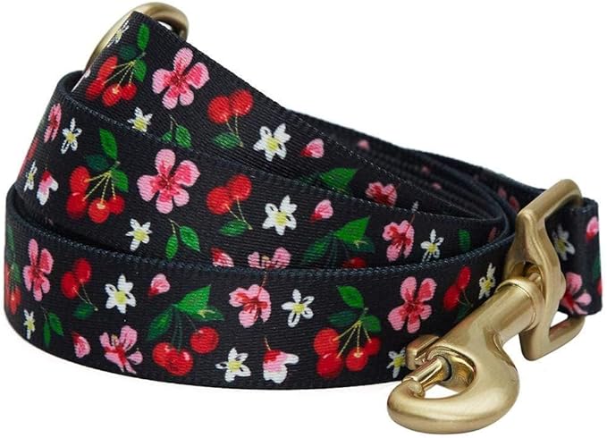 Blueberry Pet 9 Patterns Cherry Garden Black Dog Leash 5 ft x 3/4", Medium, Leashes for Dogs