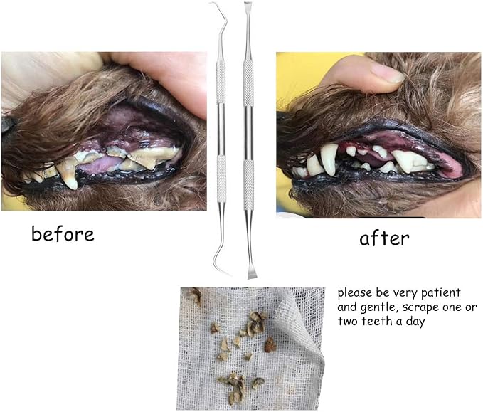 Dog Teeth Cleaning Tools Tarter Remover Canine Dental Scraper Scaler Tools Pet Tooth Cleaner Stainless Steel with Double Head