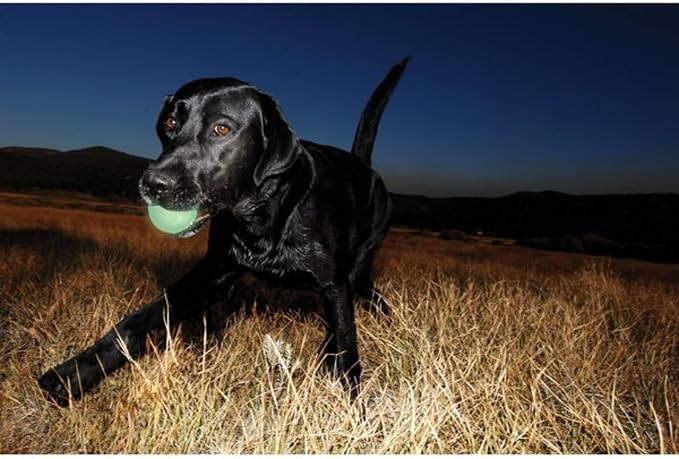 Chuckit! Max Glow Bouncy Ball, Glowin the Dark, XL 3.5in | Photoluminescent Rubber Ball Recharges Fast Under Any Bright Light for Nighttime Fetch, Launcher Compatible
