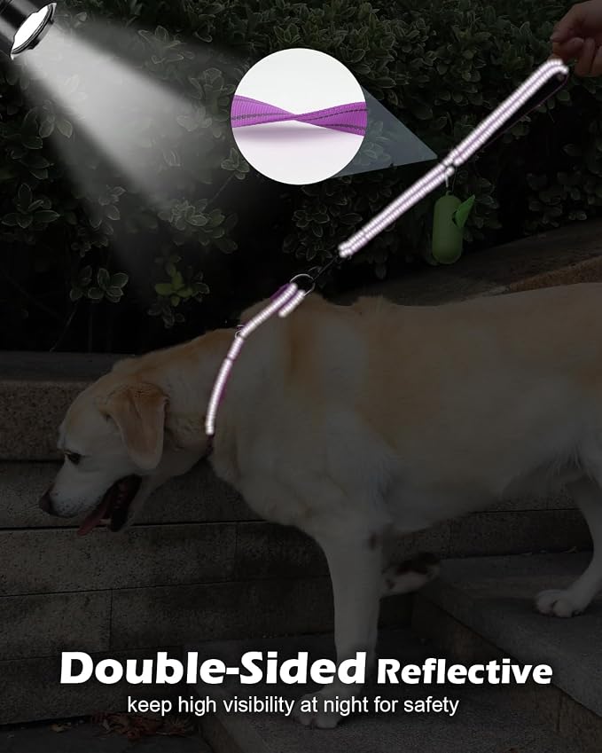 Joytale Short Dog Leash for Close Control & Training, 24", Purple | Padded Comfort Handle, Reinforced Nylon Webbing, Secure Metal Clip, for Busy Streets & Heel Training