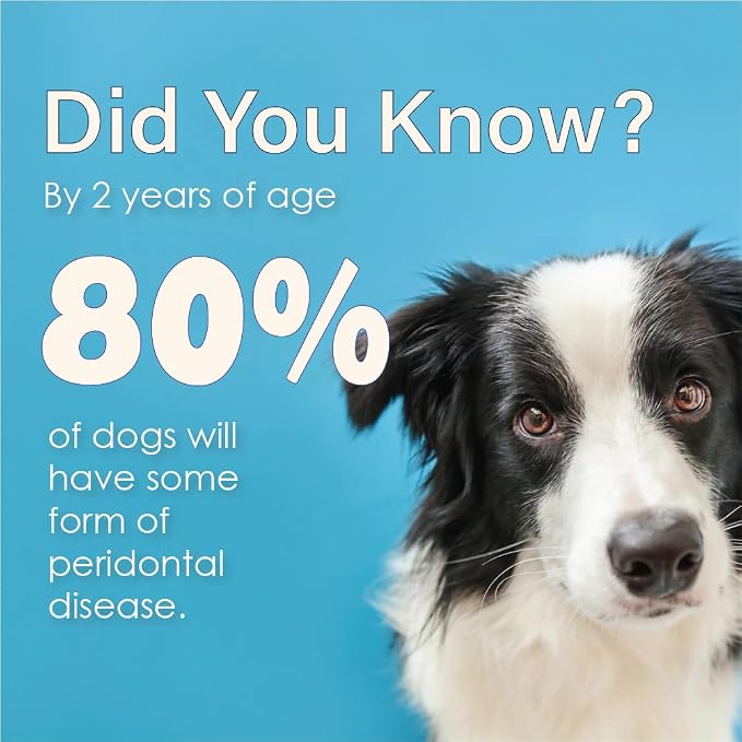 Advanced Enzymatic Toothpaste for Dogs, Peanut Butter Flavor Dog Toothpaste, Helps Clean Teeth & Freshen Breath, Supports Oral Hygiene, Dog Dental Care Toothpaste Gel, 5 oz
