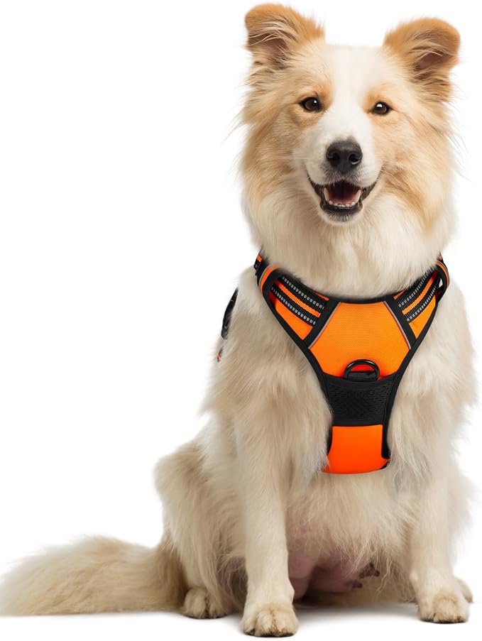 rabbitgoo Dog Harness, No Pull Medium Sized with 2 Leash Clips, Pet Vest | No Choke with Handle, Adjustable Soft Padded, Reflective, Easy Control for Walking, Orange, Medium