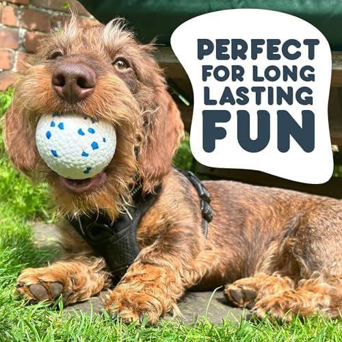 Petface Outdoor Paws Mighty Ball Dog Toy, Large (Pack of 1) | Extra Strong ETPU Material, for Fetch & Bounce, Floats on Water