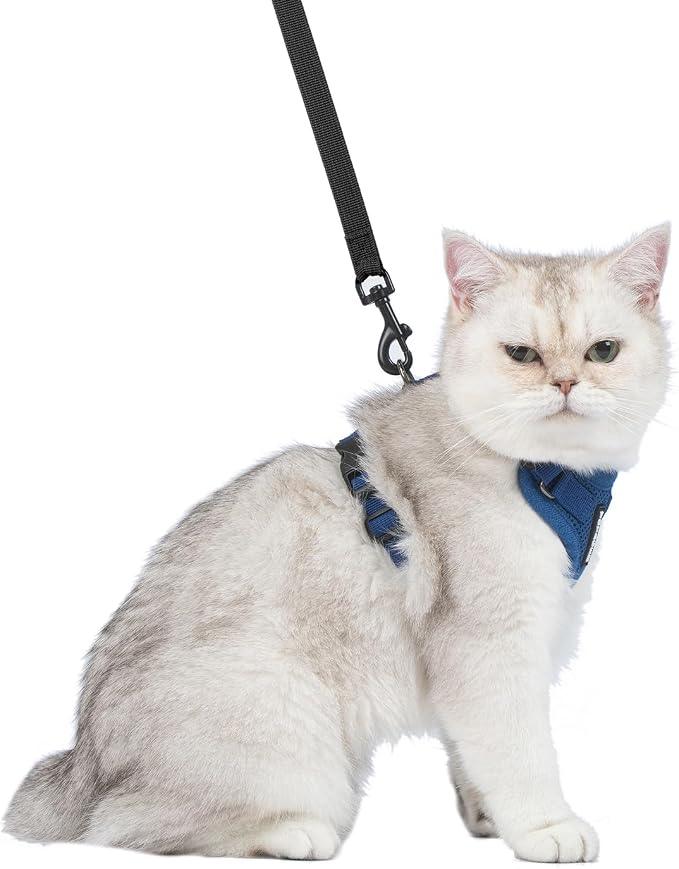 Voyager Escape-Proof Step-in Lock Cat Harness & 5ft Neoprene-Handle Leash Set All-Weather Mesh with Reflective Stitching for Small to Large Cats by Best Pet Supplies, Royal Blue, XXS