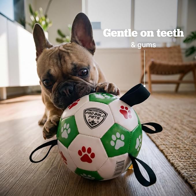 Maccabi Interactive Dog Soccer Ball for Dogs, 6” with Straps & Grab Tabs, Floats on Water, Fetch & Training Toy for Small/Medium Dogs, Herding Breeds, Waterproof Non-Toxic – ProBall Pets – Green Red