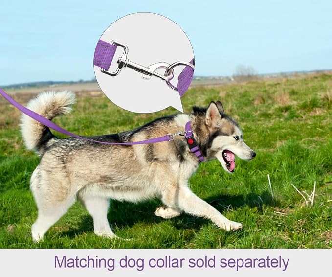 Taglory Reflective Dog Leash for Small Dogs, 3/4in x 4ft, Purple | Ideal for Night Walking, Strong for Sudden Pulls, Lightweight & Gentle on the Neck, Soft Padded Handle