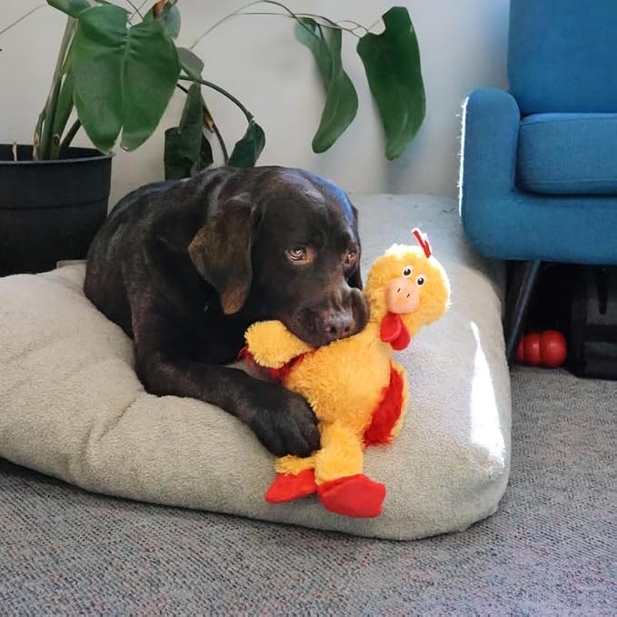 KONG Knots Chicken Dog Toy – Internal Knotted Rope & Dual Squeakers – Durable Plush with Minimal Stuffing, Indoor/Outdoor Chew & Tug Toy (Extra Large)
