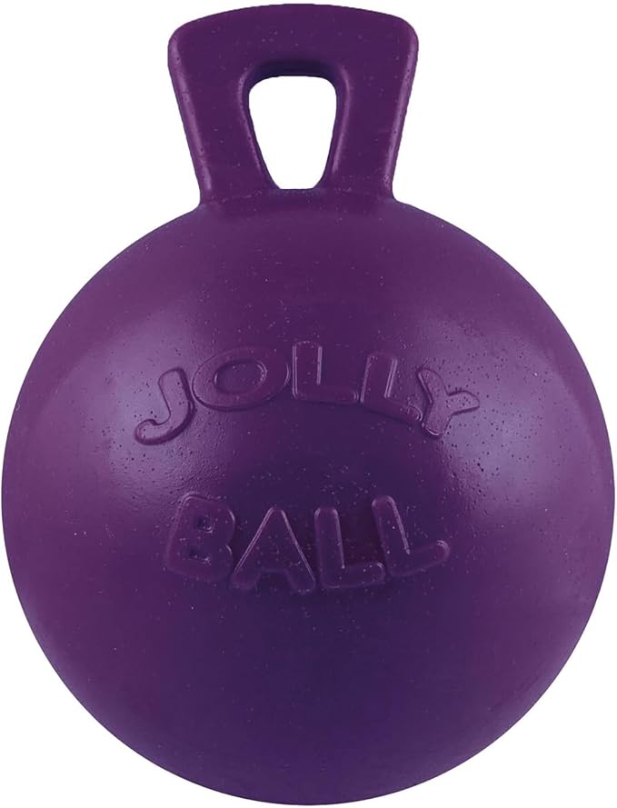 Tug-N-Toss Ball Color: Purple, Size: 8" H x 6" W x 6" D