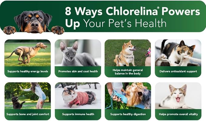 Algae Pet Supplement, Organic Formula with Chlorella and Spirulina, for Dogs and Cats (16oz)