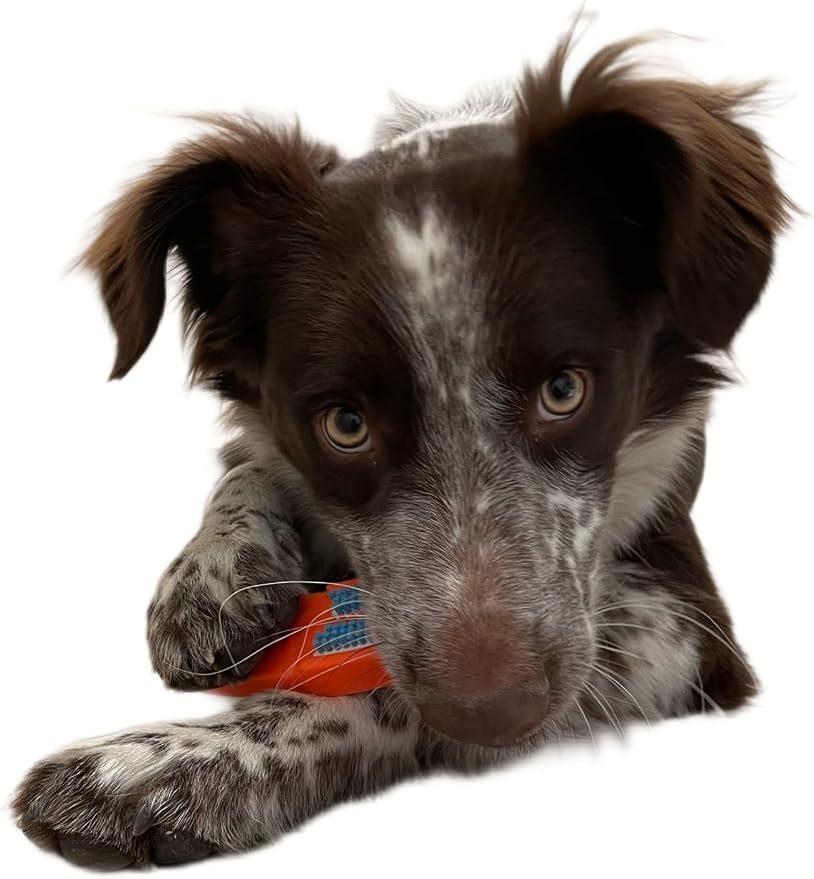 Bully Brushir Dog Toothbrush Oral Care Dental Care Teeth Cleaning … (Small for Dogs 10 to 48 lbs)