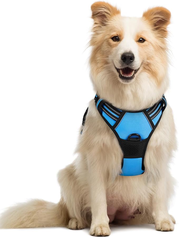 rabbitgoo Dog Harness, No Pull Medium Sized with 2 Leash Clips, Pet Vest | No Choke with Handle, Adjustable Soft Padded, Reflective, Easy Control for Walking, Blue, Medium