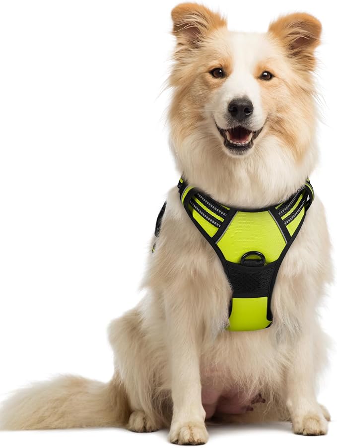 rabbitgoo Dog Harness, No Pull Medium Sized with 2 Leash Clips, Pet Vest | No Choke with Handle, Adjustable Soft Padded, Reflective, Easy Control for Walking, Wild Lime, Medium