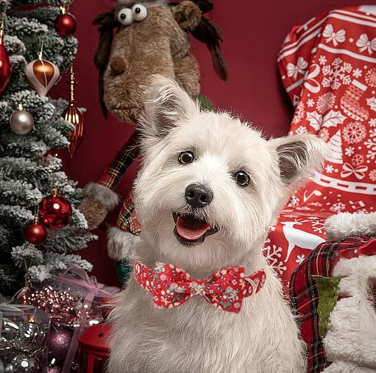 Lionet Paws Christmas Dog Collar, Cute Winter Red Dog Collar for Large Dogs, Adjustable Cotton Gingerbread Man Pet Collars for Large Dogs