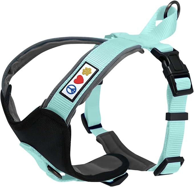 Pawtitas Reflective Padded Dog Harness for Medium Dogs – Adjustable Step-in Vest | Fits Chest 22–28 in | No Pull Training Harness | M | Teal