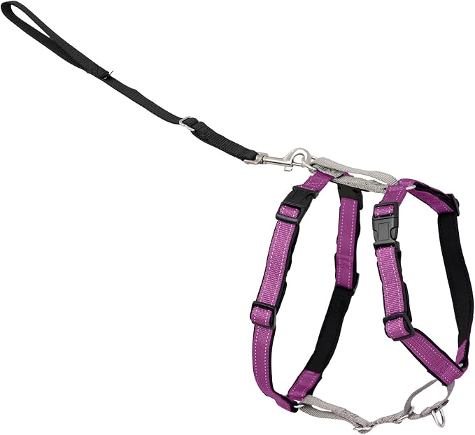 PetSafe 3 in 1 Harness - Fully Adjustable No-Pull Dog Harness - From the Makers of the Easy Walk Harness - Large, Plum | Rests on Chest Not Throat to Reduce Pulling, 5 Adjustment Points, Car Restraint Seatbelt Loop, Reflective Nylon for Low Light