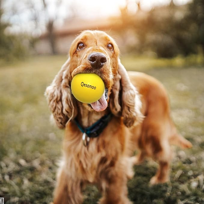 Dog Balls Indestructible, Solid Rubber Bouncy, Large Breed, Yellow