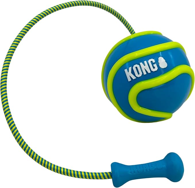 KONG Bunji High-Viz Brightly Colored Glow in The Dark High Visibility Fetch and Retrieve Durable Bouncy Ball Assorted (Large)