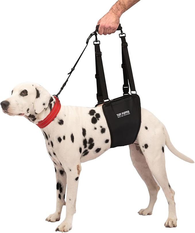 Tuff Pupper Dog Sling Hip Harness | Rear Lift Support for Senior & Injured Dogs | Adjustable Mobility Aid | Strong Padded Handle | Comfortable Design | Hip & Hind Leg Assistance (Medium/Large, Male)