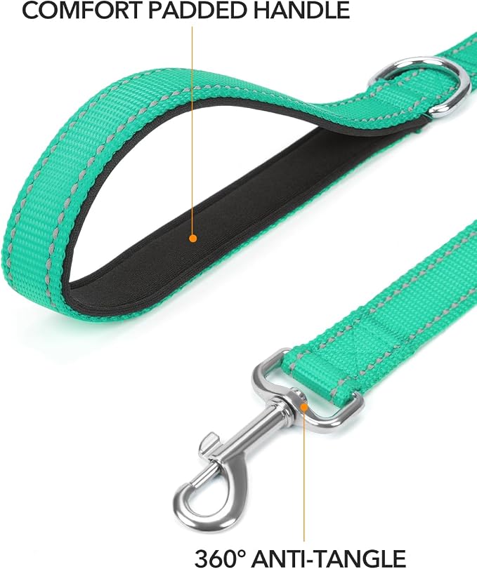 Taglory Reflective Dog Leash for Medium Large Dogs, 1in x 6ft, Turquoise | Ideal for Night Walking, Strong for Sudden Pulls, Lightweight & Gentle on the Neck, Soft Padded Handle