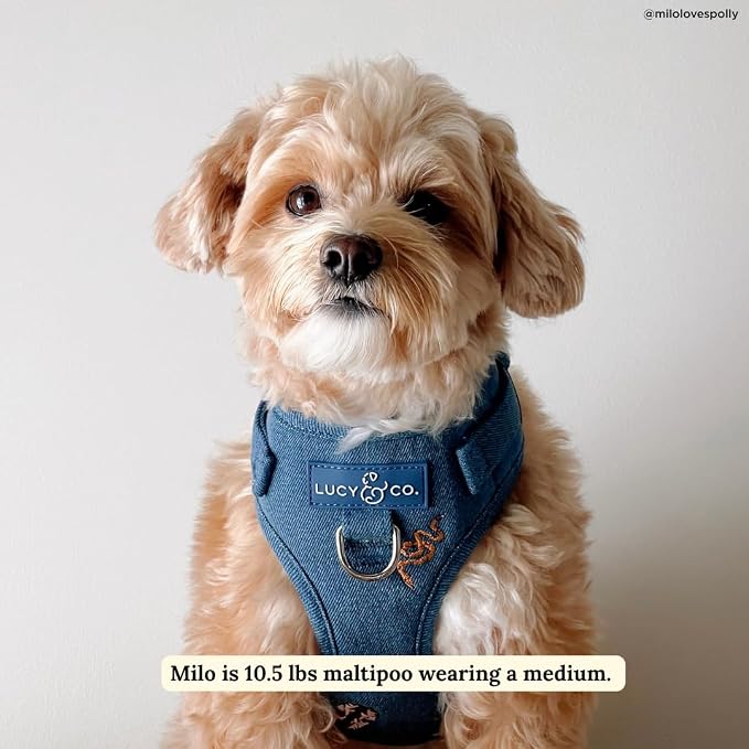 Lucy & Co. The Giddy Up No-Pull Dog Harness for Dogs – Vest to Stop Pulling & Walk Easy – Comfortable Leash Training Product w/Adjustable Chest & Neck Straps - Blue Demin Cowboy - Large