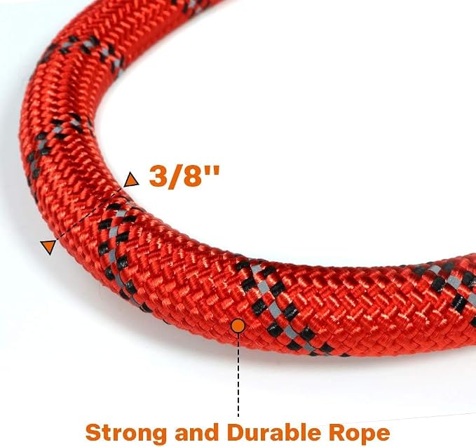 Taglory Rope Dog Leash for Small Medium Dogs, 6 FT Padded Handle, Red | Made of Climbing Rope, Reflective for Night Walks and Training, Comfortable Grip, Anti-tangle Swivel Clip, 3/8 inch