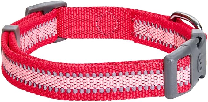 Blueberry Pet Essentials Pack of 2 Reflective Better Basics Adjustable Dog Collars, French Pink, Medium, Neck 14.5"-20"