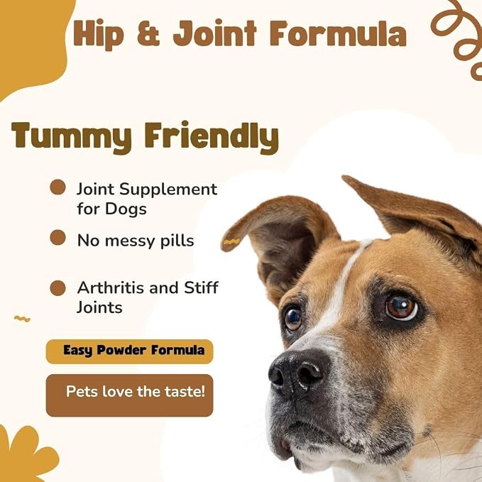 Nature's Pure Edge Glucosamine Powder for Dogs and Cats - Joint Supplement with Chondroitin MSM and Turmeric for Hip and Joint Support - Senior Friendly Formula 170g