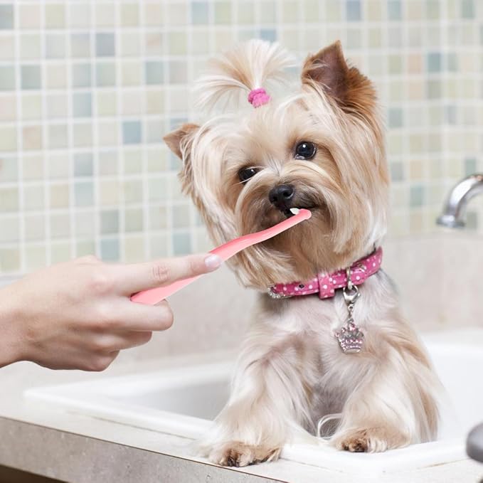 SUPVOX Pet Toothbrush for Small Dogs Cats Soft Bristle Design for Gentle Cleaning Ergonomic Handle for Comfortable to Hold for Daily Oral Care Portable Pet Toothbrush for Plaque Removal