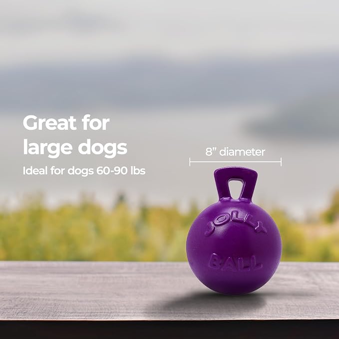 Jolly Pets Tug-n-Toss Heavy Duty Dog Toy Ball with Handle, 8 Inches/Large, Purple