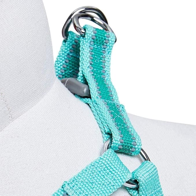 Blueberry Pet Essentials Step-in Reflective Back to Basics Dog Harness, Minty Green, Chest Girth 26" - 39", Large, Adjustable Harnesses for Dogs