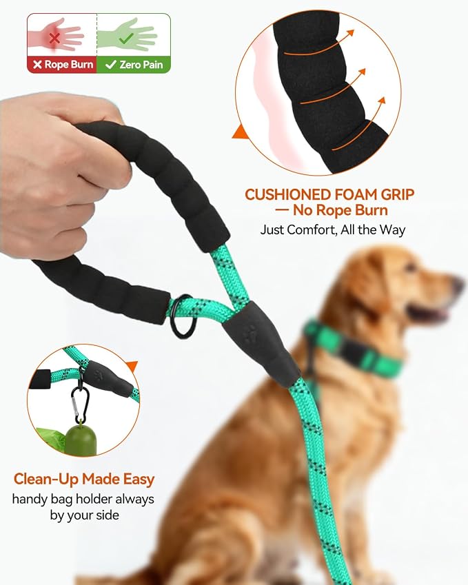Joytale Rope Dog Leash for Medium Large Dogs, Padded Handle, 5FT, Turquoise | Reinforced Nylon Webbing, Comfort Grip Eases Hand Strain, Swivel Clip Prevents Tangles, Visible at Night, for Outdoor Walks